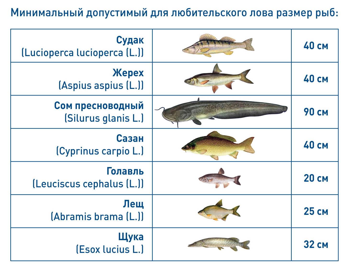 Рыбалка в донецкой народной республике и области 2021