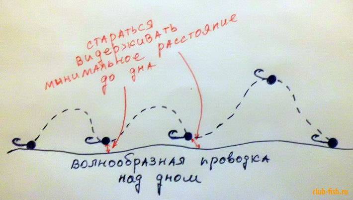 Спиннинговые проводки