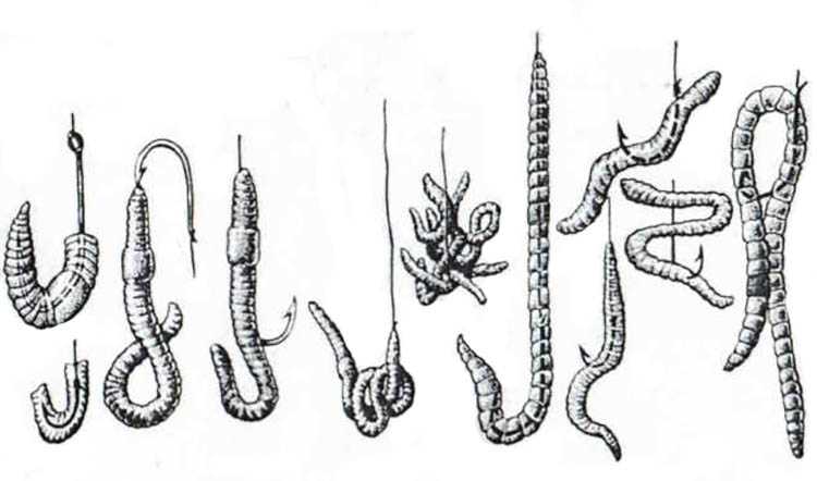 Силиконовые черви для джига - виды, оснастка, ловля