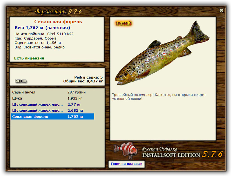 Гольян озерный фото и описание – каталог рыб, смотреть онлайн