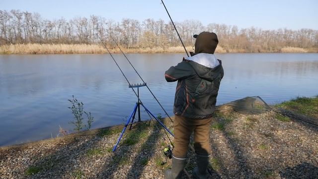 Ловля сома на реке с видео: когда ловить и на что можно поймать, рыбалка весной и в другое время года, лов с берега на донку