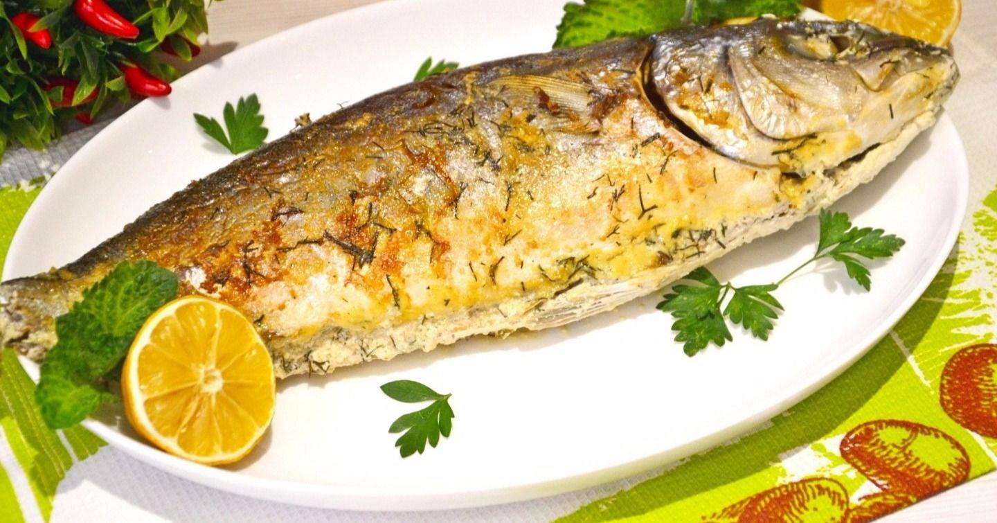 Лакедра — что это за рыба, описание, рецепты приготовления в духовке, отзывы о блюдах