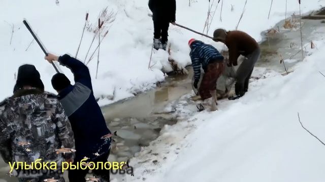 Ловля щуки — все сезоны
