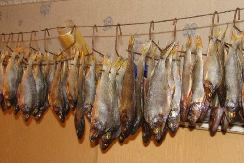 Засолка рыбы в домашних условиях. рецепты засолки красной рыбы, речной рыбы. способы засолки рыбы для сушки, вяления, копчения