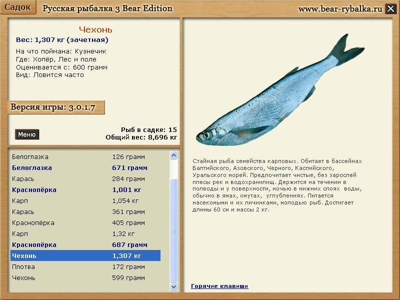 Чехонь