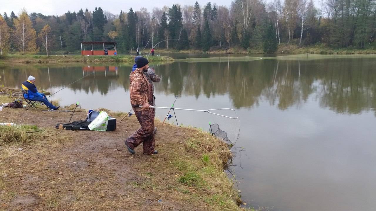 15 лучших рыболовных мест псковской области – рыбалке.нет