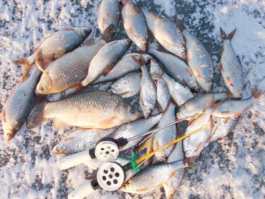 Рыбалка на можайском водохранилище и особенности водоема