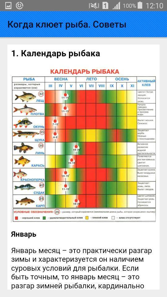 Возможно ли по фазе луны и погоде определить клев рыбы