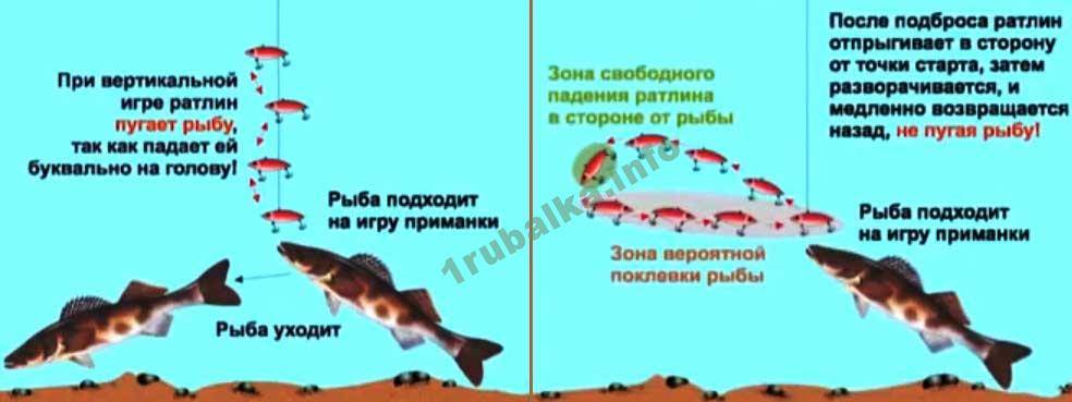 Ловля на раттлин (фото + видео): топ-10 лучших раттлинов, техника ловли, советы как привязать, обзор приманок на судака и щуку