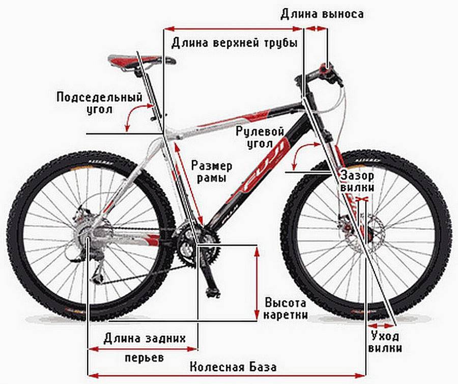Карповая леска: как ее правильно выбрать для новичка?