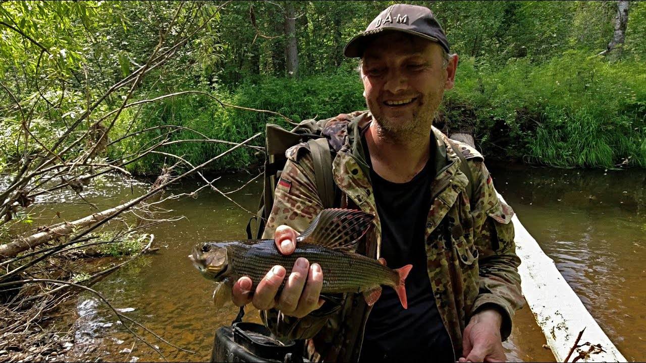 Ловля хариуса на поплавочную удочку: снасть на хариуса с поплавком и мормышкой