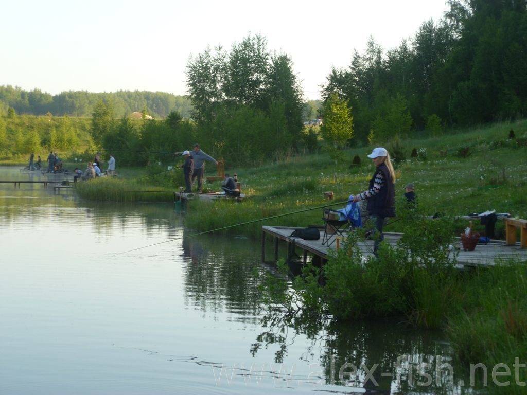 Платная рыбалка в калужской области — обзор платных водоемов