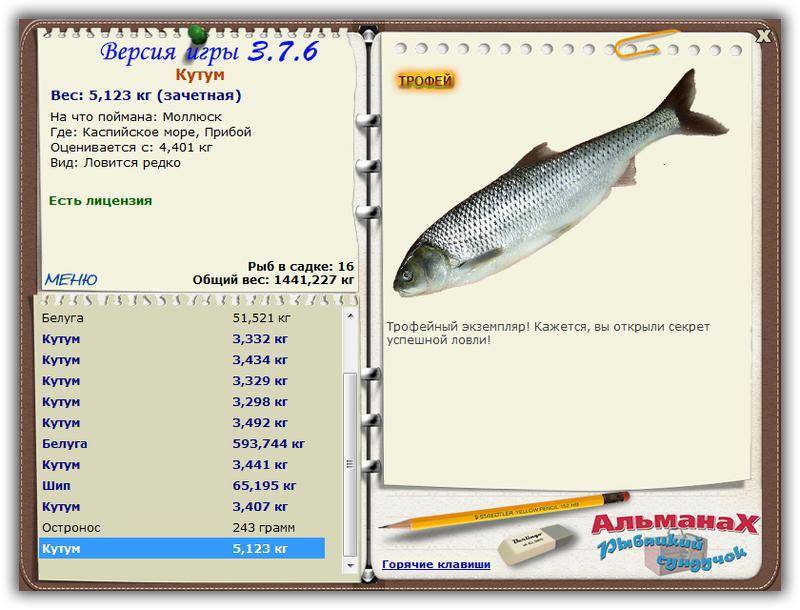 Рыба кутум — фото, где водится и чем питается, как правильно ловить