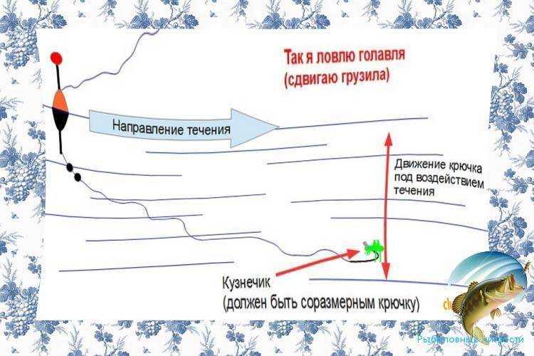 Ловля голавля в августе: как поймать голавля, лучший воблер на голавля