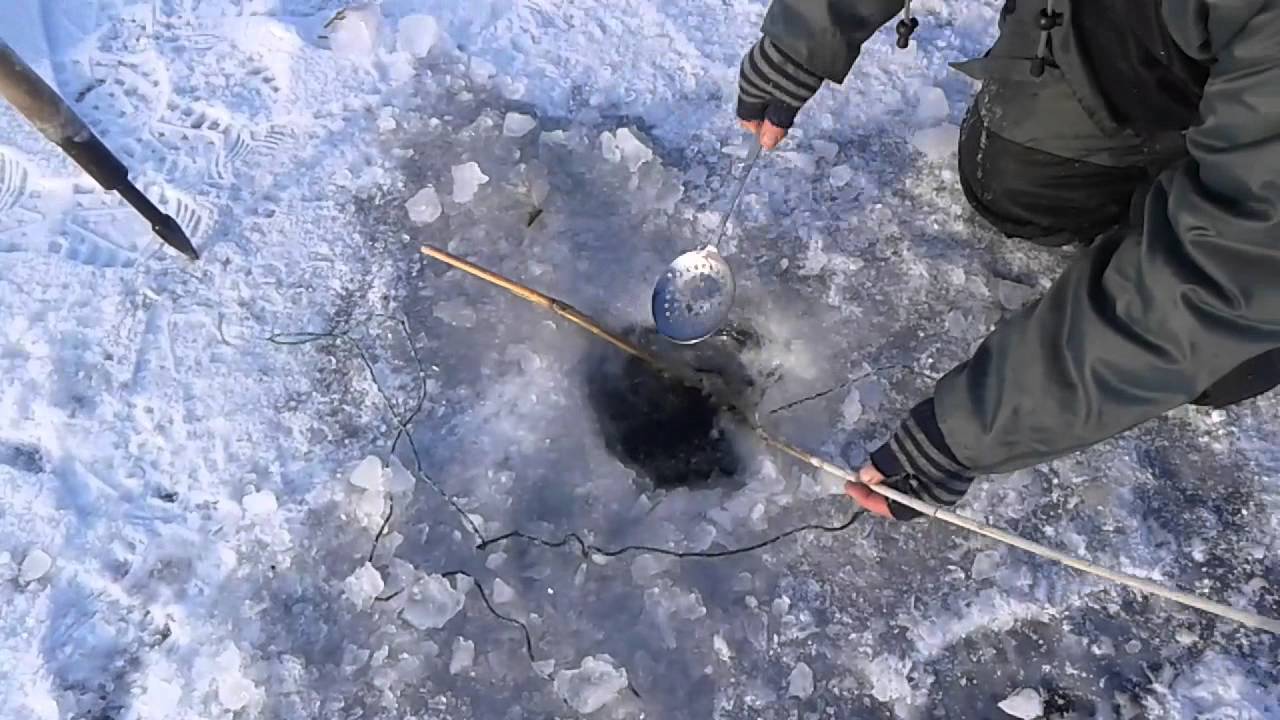 Охота и рыбалка