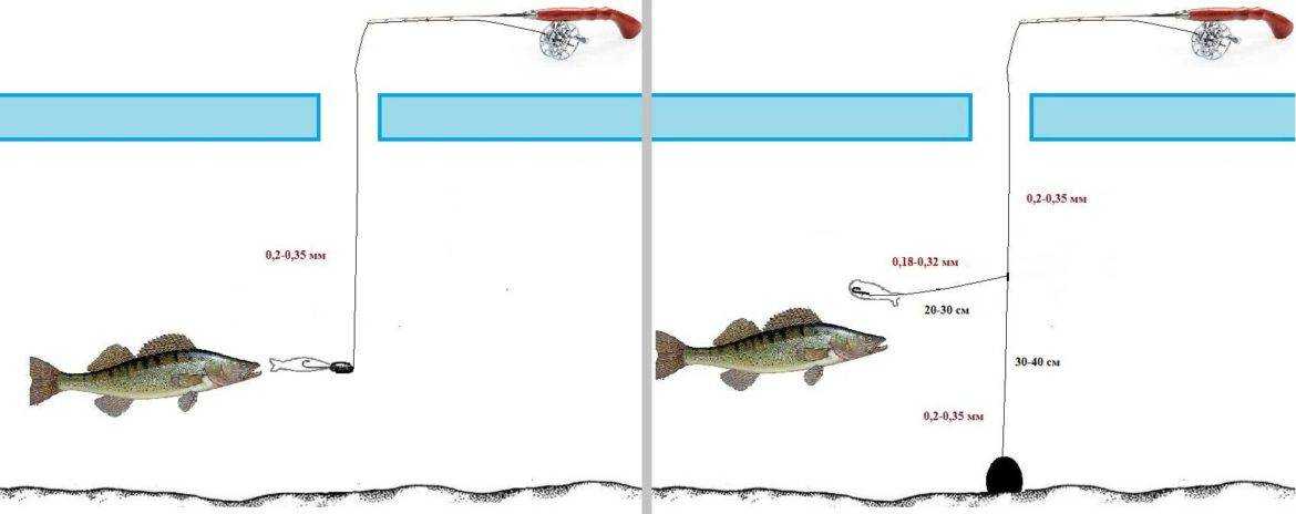 Ловля берша зимой – интересная рыбалка для продвинутых рыболовов и новичков