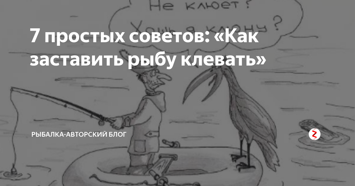 Что делать, если рыба не клюёт: где клюет рыба, когда клюет рыба, чтобы рыба клевала