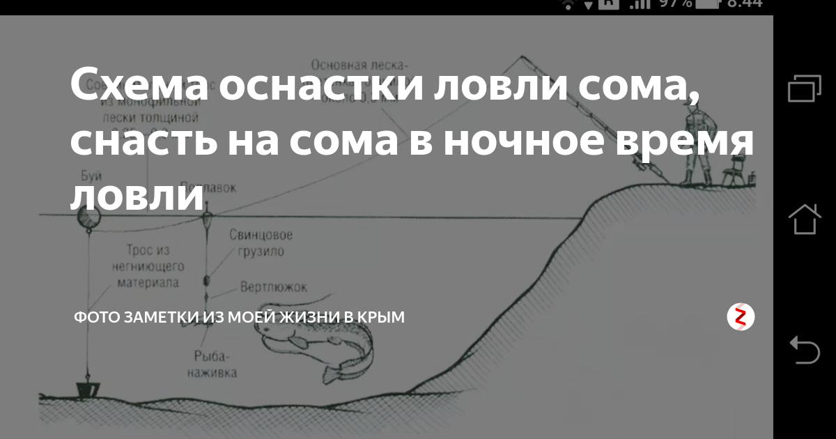 Горячий сезон: на что и как ловить сома летом с берега?