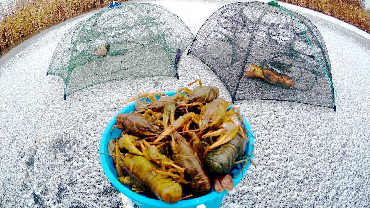 Как ловить раков?