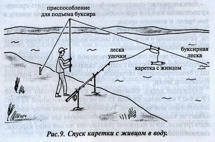 Спиннинг для ловли судака, все что о нем нужно знать