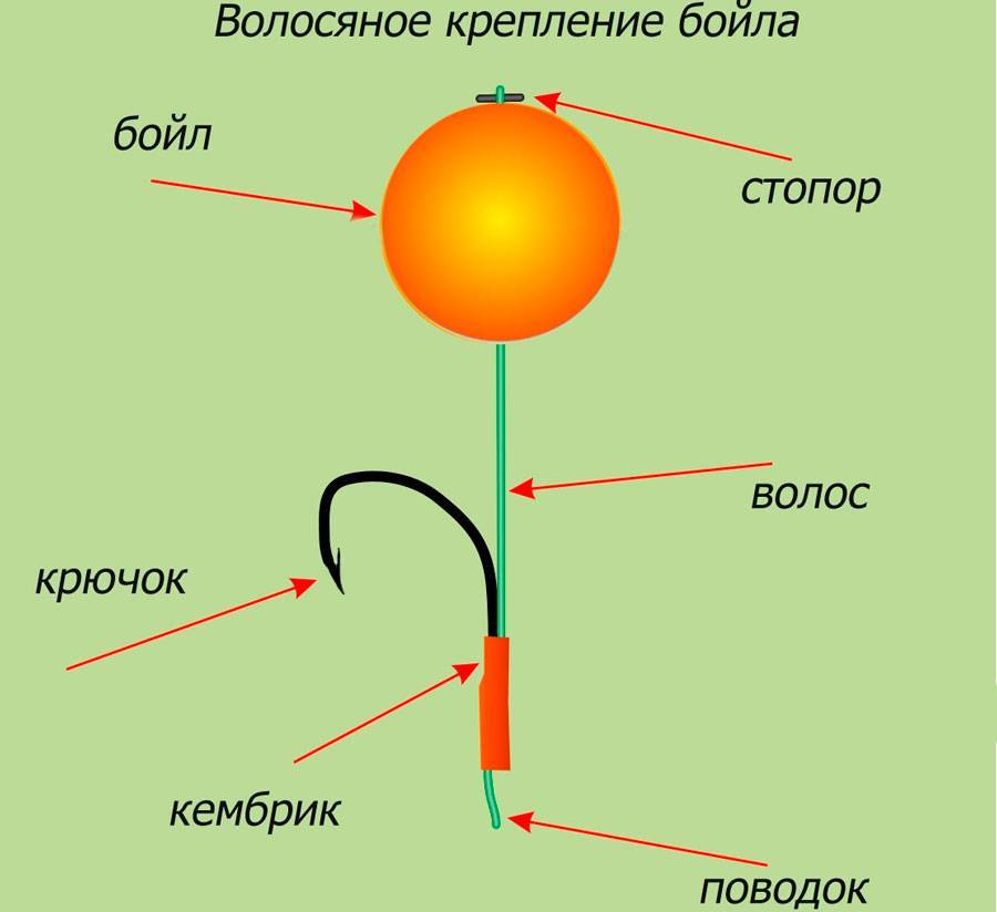 Ловля карпа на бойлы: изготовление оснастки, приманки и техника рыбалки
