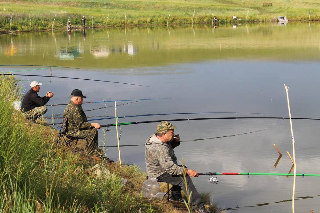 Платная рыбалка в калужской области