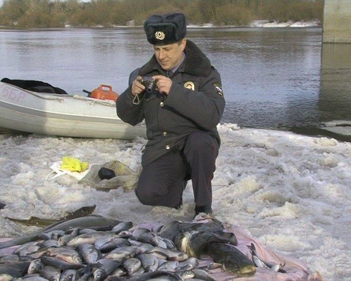 Ловля сома на квок с лодки – рыбалка онлайн