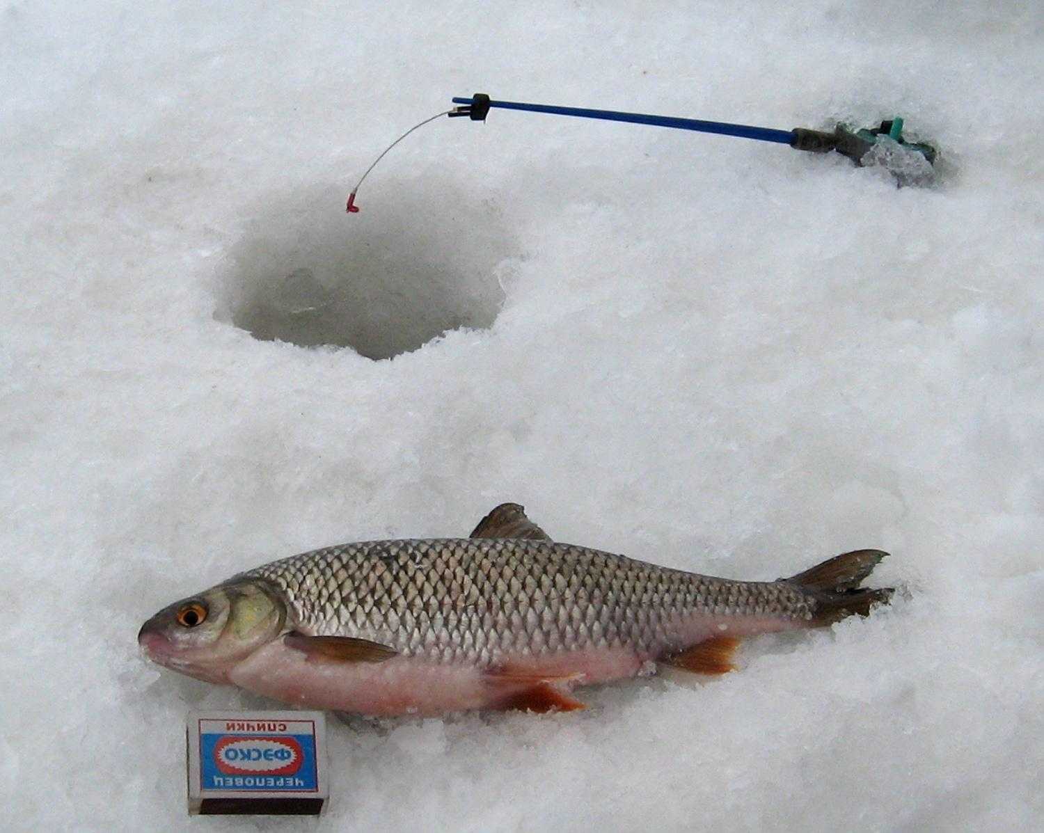 12 лучших мормышек на карася зимой и техника ловли рыбы со льда