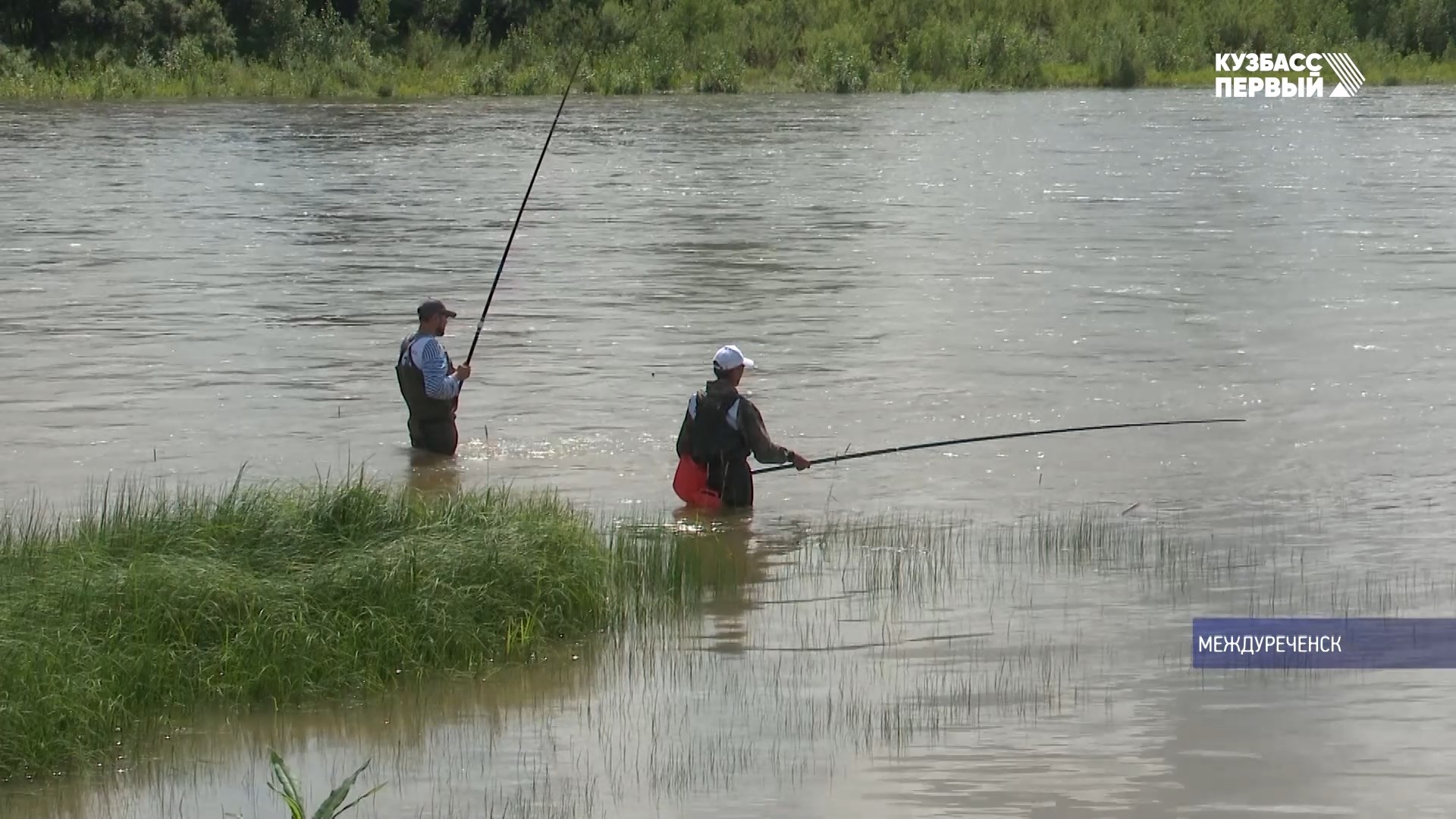 Видео о приготовлении каши для ловли карася – рыбалка онлайн