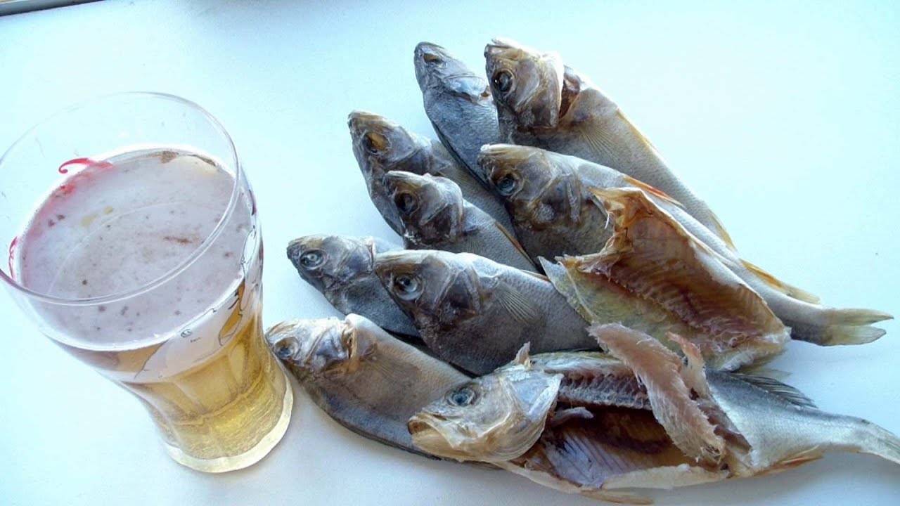 ✅ как сушить щуку в домашних условиях - уголок-рыбака.рф