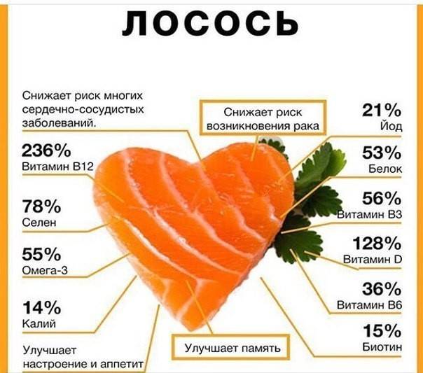 Форель: польза и вред, критерии выбора, способы приготовления, рецепты блюд, интересные факты