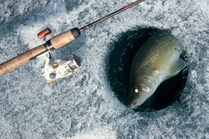 Ловля судака на тюльку зимой: видео, снасть и тактика ловли и блеснения, рыыбалка на каме