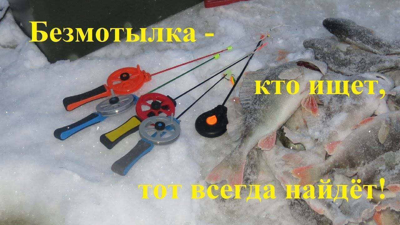 Ловля на безмотылку: первые шаги к результату