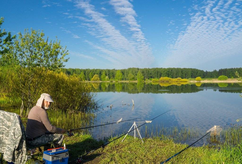 15 лучших рыболовных мест в тульской области. бесплатные и платные