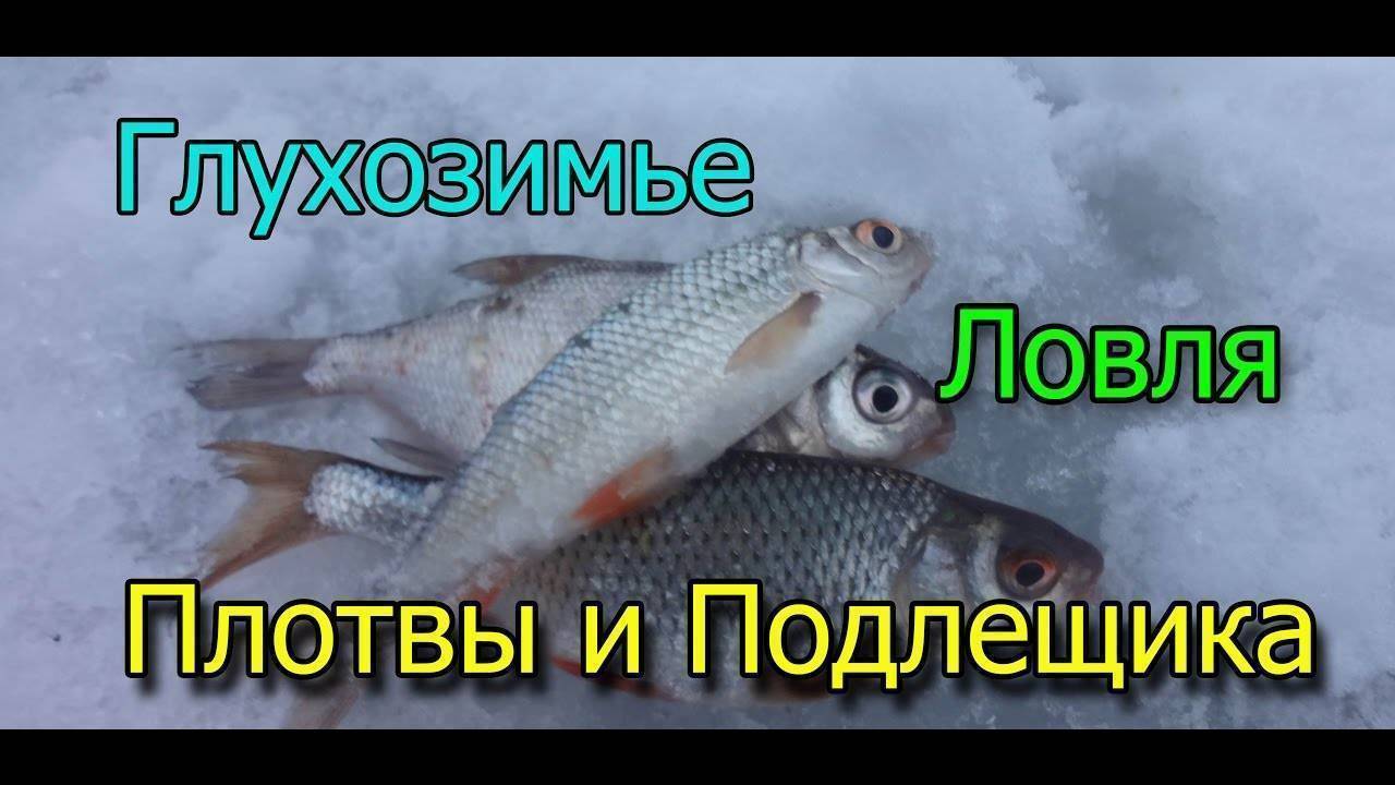 Ловим рыбу в глухозимье