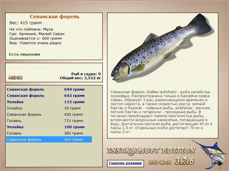 Форель озерная фото и описание – каталог рыб, смотреть онлайн