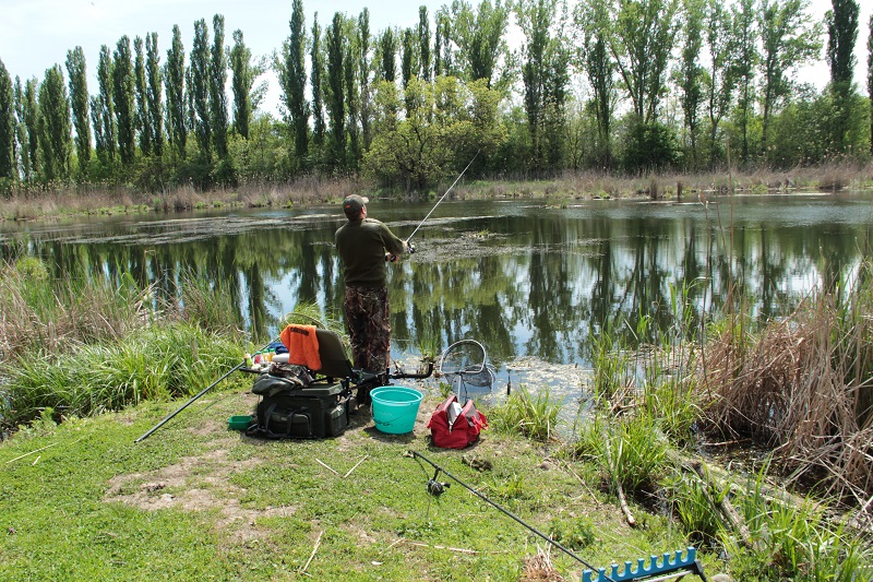 Рыбалка в краснодарском крае: куда поехать, рыбные места в краснодаре, рыболовные базы