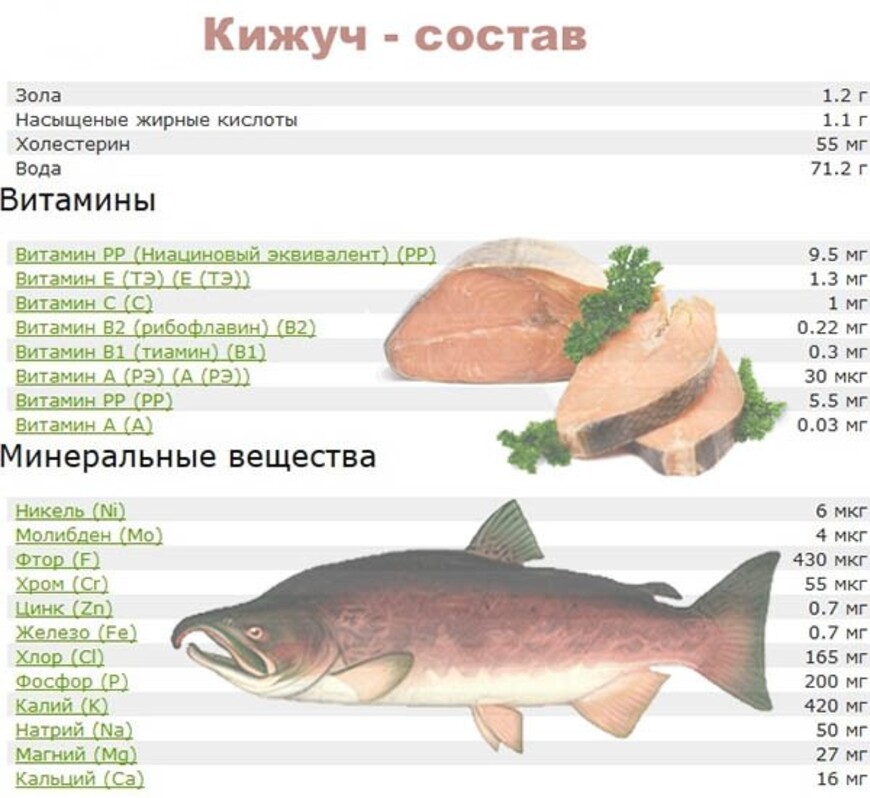 Красная рыба кижуч: места обитания, польза и вред