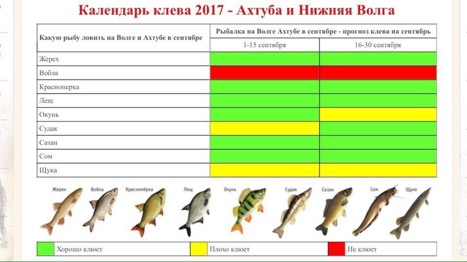 На что ловить рыбу на волге: снасти и приманки для рыбалки на волге - читайте на сatcher.fish