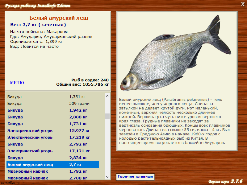Рыба лещ — фото, как выглядит, описание и разновидности, костлявая или нет