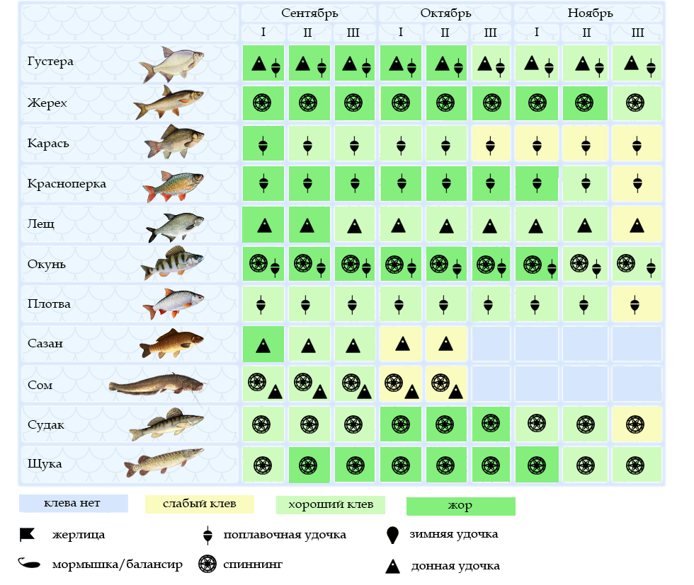 Рыбалка в калининградской области сегодня: места вылова, правила поимки рыбы, прогноз клёва
