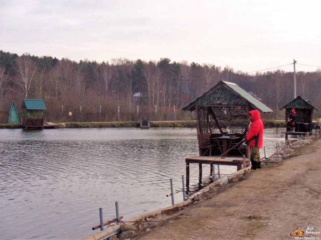 Рыбалка в раменском районе