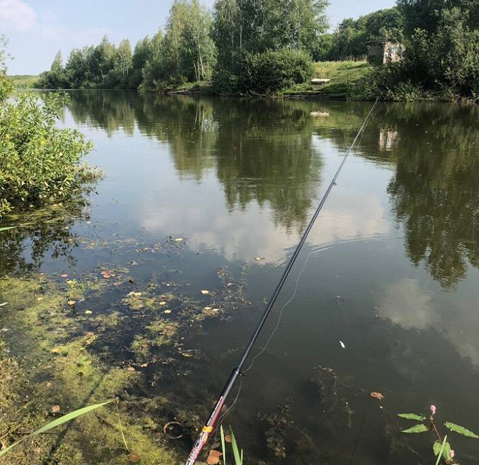 Рыбалка в липецкой области платно. firstfisher.ru – интернет-журнал о рыбалке и рыболовах.