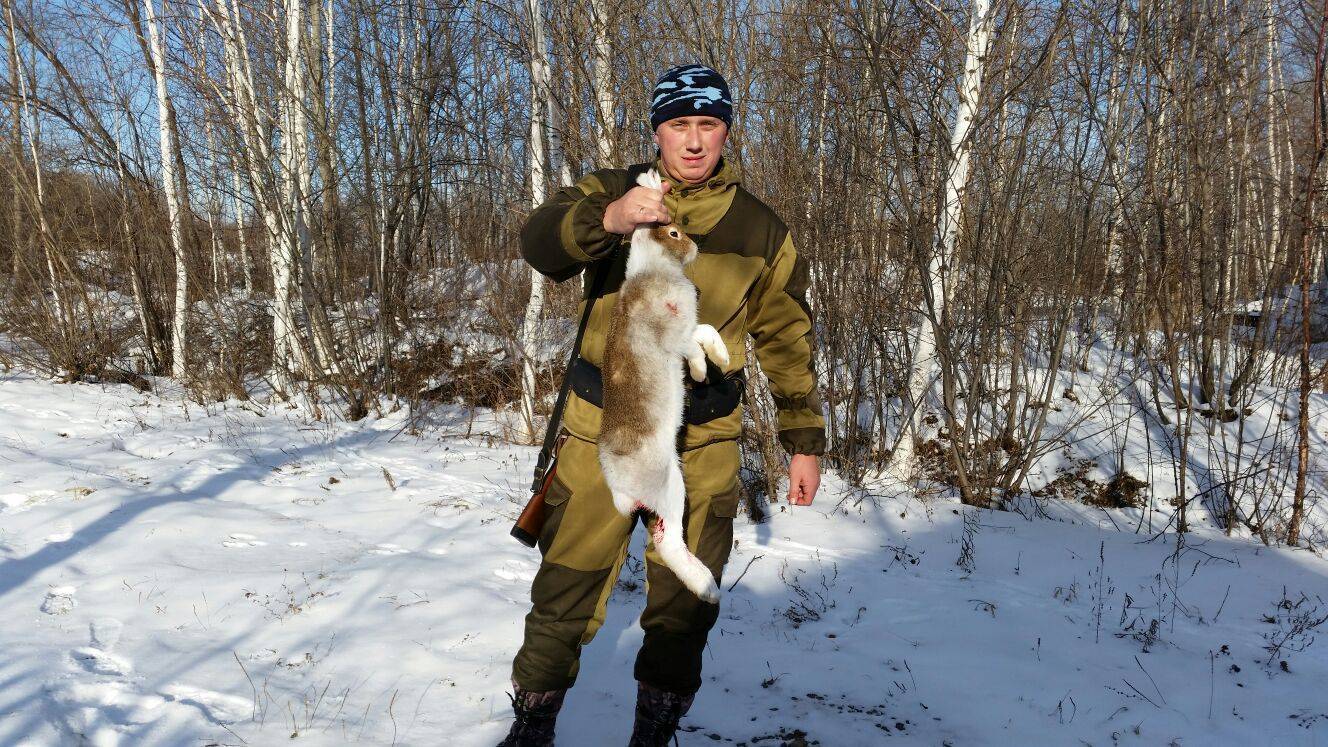Охота зимой на разных зверей и её особенности | животный мир