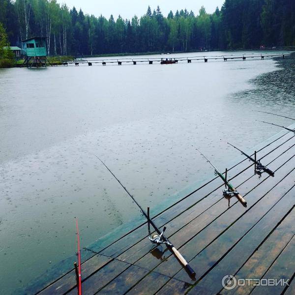 Рыбалка в хомяково сергиево-посадского района, особенности ловли рыбы в деревне