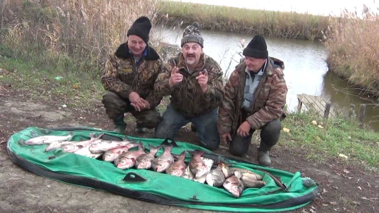 Рыбалка на реке кубань: как добраться, отчеты, какую рыбу ловить