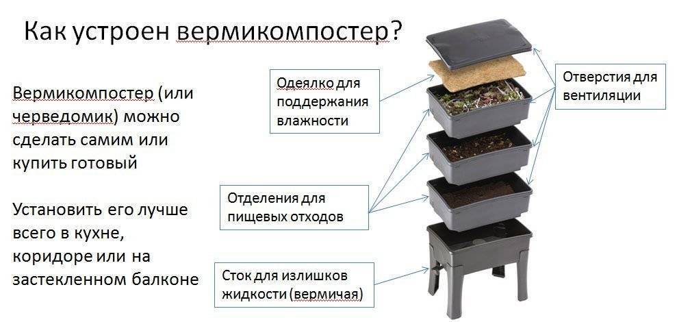 Как правильно развести червей в домашних условиях? - суперулов - интернет-портал о рыбалке
