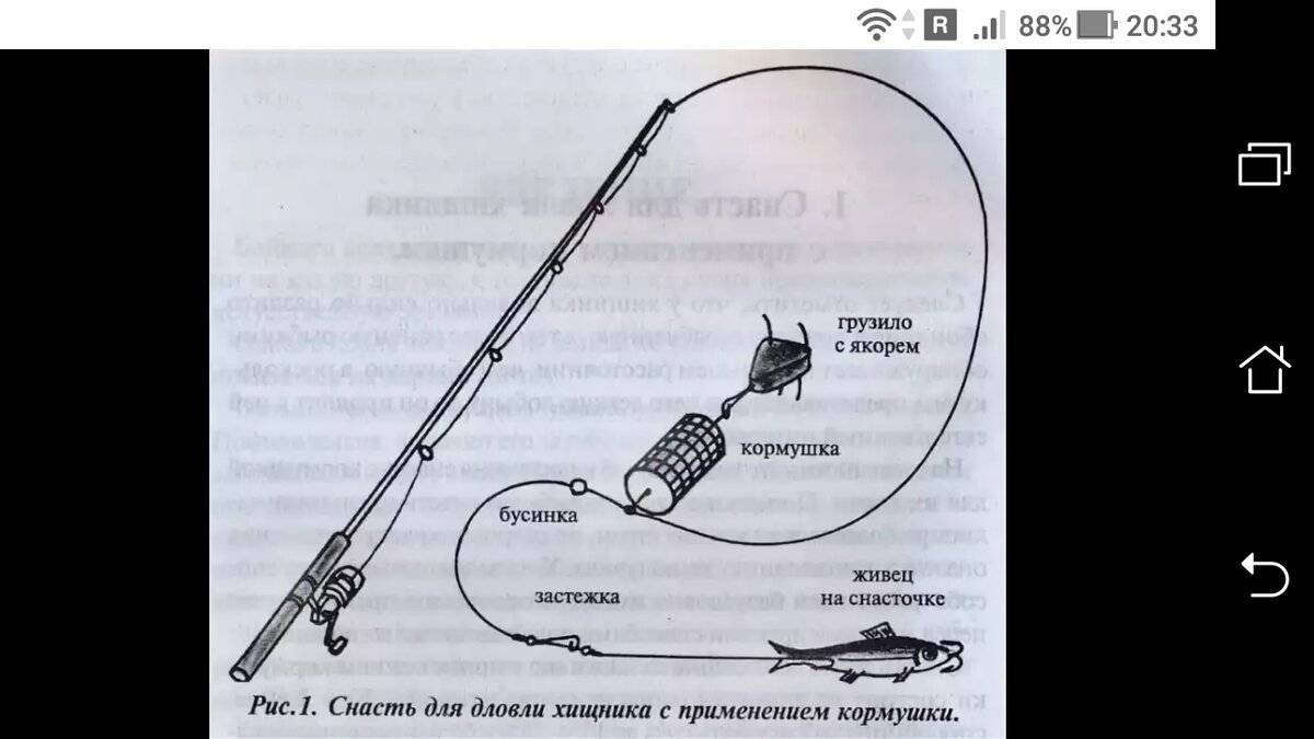 На крючке: как перестать бояться и начать ловить рыбу