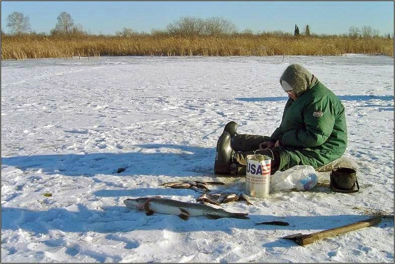 Вот что бывает, когда борешься с браконьерами. дороговато обошлось! но весело)