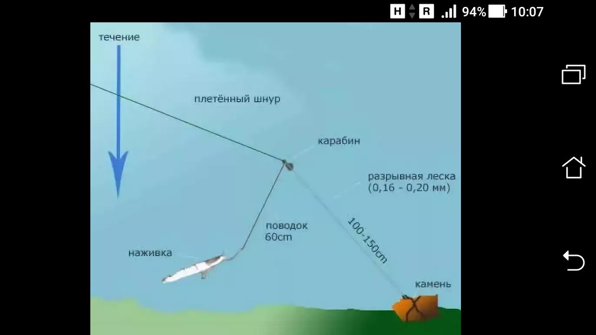 Снасть на сома: какую выбрать и как сделать своими руками